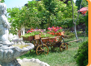 Hotelul si Pensiunea Anina